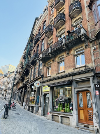 Brussels, Apartments, Flats, Houses & Villas, EUR 875/month,  1 BR,  Nice App 54 M2 Licht, Furnished, Best Area