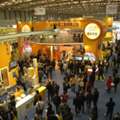Car Rental, Shanghai Exhibition Translator,shanghai Trade Show Interpreter,inspection Serv