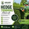 Professional Hedge Trimming Adelaide Services | Adelaide Tree Removals