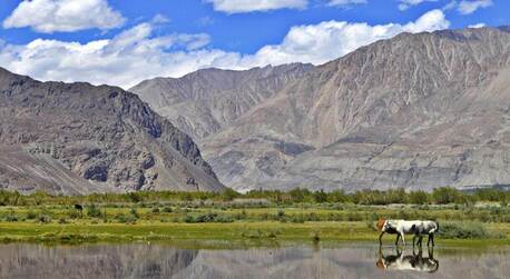 Mumbai, Travel, A Lifetime Trip To Kargil And Ladakh 7 Nights