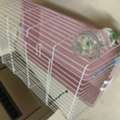 SAR 80,  Small Pet Cage For Sale &ndash; Rabbit / Hamster / Guinea Pig