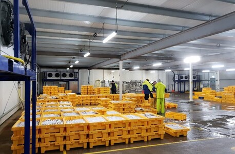 London, Business, Need Reliable Chilled Storage For Your Business?