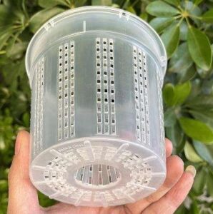 New York, Farm & Garden, USD 1,  Orchid Pot For Sale - Clear, Clay & Net Pots For Orchid Care
