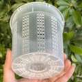 USD 1,  Orchid Pot For Sale - Clear, Clay & Net Pots For Orchid Care