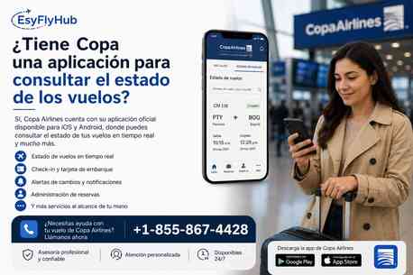 New York, Travel, ¿Tiene Copa Una Aplicación Para Consultar El Estado De Los Vuelos?