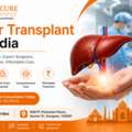 Liver Transplant In India &ndash; Affordable & Advanced Treatment Mycure Pathway