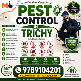 Mumbai, Pest Control, Benefits Of Hiring Professional Pest Control Services In Trichy