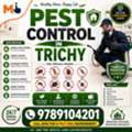 Benefits Of Hiring Professional Pest Control Services In Trichy