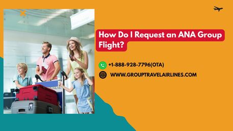 New York, Travel, How Do I Request An ANA Group Flight?
