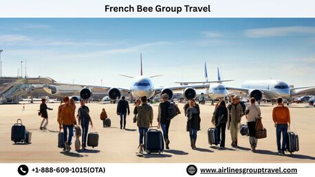New York, Travel, What Is The French Bee Group Travel Policy?