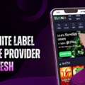 Launch Your Own Elonbet White Label Betting Website With Bdbetsolution