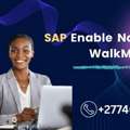 SAP Enable Now WalkMe In Egypt | Driving Digital Adoption