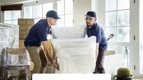 New York, Business, Mula Movers