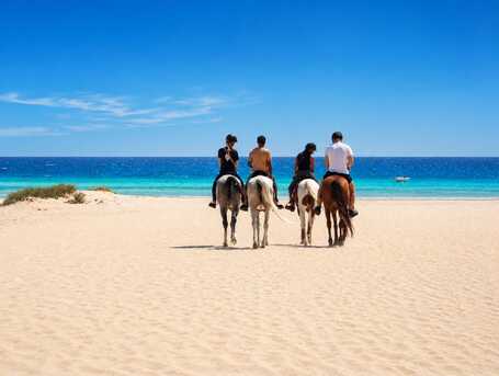 Cairo, Business, KEMET Horses Riding At Coral Beach Hotel