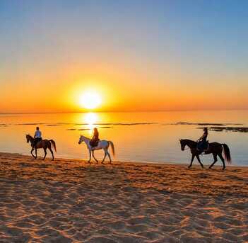 Cairo, Business, KEMET Horses Riding At Coral Beach Hotel