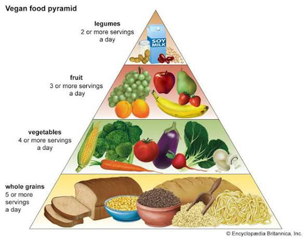 Khobar, Food & Drink, Homemade Diet Food