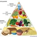 Homemade Diet Food
