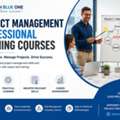Project Management Professional Training