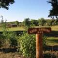 Enjoy Free Gourmet Breakfasts At Lark Landing B&B Daily