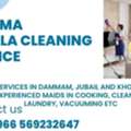 Housemaid