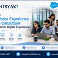 How A Salesforce Experience Cloud Consultant Builds Better Digital Experiences