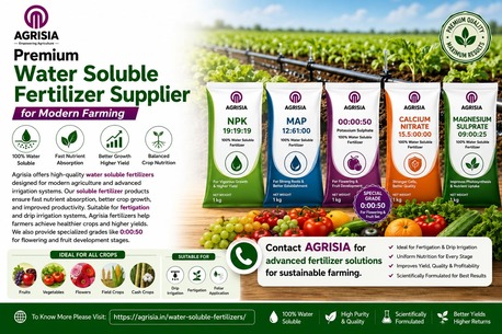 Mumbai, Farm & Garden, Premium Water Soluble Fertilizer Supplier For Modern Farming