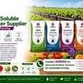 Premium Water Soluble Fertilizer Supplier For Modern Farming