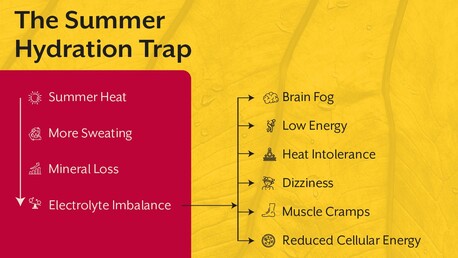 Pune, Guest Posting, Drink Smarter, Not More: A Summer Hydration & Mineral Guide