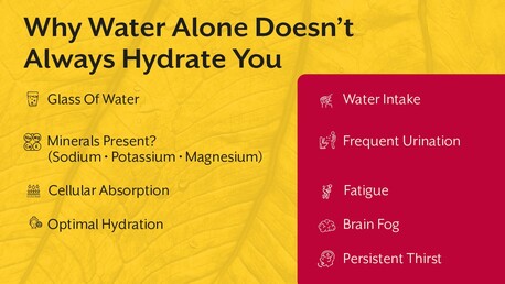 Pune, Guest Posting, Drink Smarter, Not More: A Summer Hydration & Mineral Guide