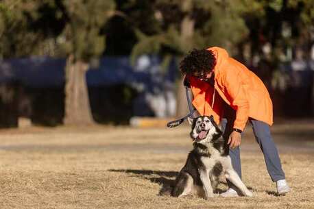 Nagpur, Pet Sitting, Dog Training Service In Nagpur