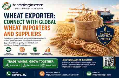 Lucknow, Food, INR 2,  Wheat Exporter: Connect With Global Wheat Importers And Suppliers