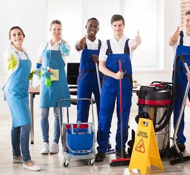 Sydney, Cleaning, Count On The Eco-Friendly And Safe Carpet Cleaning Adelaide