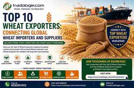 Lucknow, Food, INR 2,  Top 10 Wheat Exporters: Connecting Global Wheat Importers And Suppliers