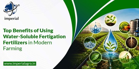 Haryana, Farm & Garden, INR 01,  Fertigation Fertilizers Distributor In Vadodara | Imperialagro