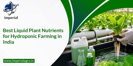 Haryana, Farm & Garden, INR 01,  Fertigation Fertilizers Distributor In Vadodara | Imperialagro
