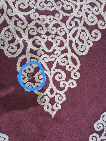 Al Baghdadyiah Al Gharbyia, Household Items, SAR 220,  Turkish Carpet  3 X 2 Meter