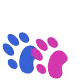 Kitchener-Waterloo-Cambridge, Medical, Veterinary Hospital In Kitchener For Dogs & Cats