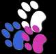 Veterinary Hospital In Kitchener For Dogs & Cats