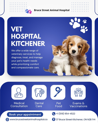Kitchener-Waterloo-Cambridge, Medical, Veterinary Hospital In Kitchener For Dogs & Cats