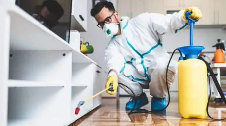 Deira, Business, Pestora Pest Control Services LLC