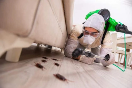 Deira, Business, Pestora Pest Control Services LLC