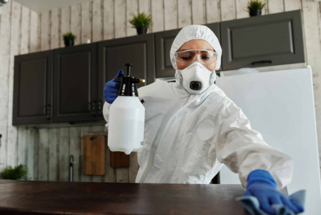 Deira, Business, Pestora Pest Control Services LLC