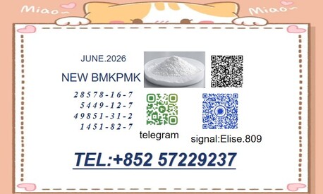 Kabul, Childcare Job Seekers, Choose The Right Source For 28578-16-7/5449-12-7 In Stock