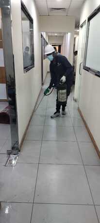 Jubail, Pest Control, Pest Control Services