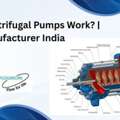 INR 21000,  How Do Centrifugal Pumps Work? | Manufacturer India