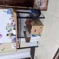 SAR 70,  Dinning Table