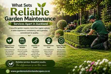 Auckland, Farm/Garden, What Sets Reliable Garden Maintenance Services Apart In Auckland