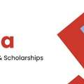 University Of Bologna Courses