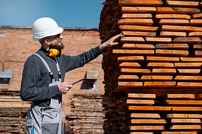 New York, Materials, Survey Material In Washington