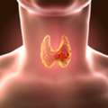 Thyroid Disorder Treatment: Natural & Functional Medicine Approach